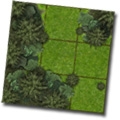 Forests Forests