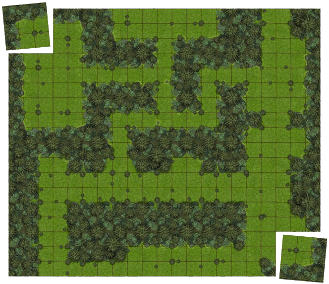 Sample Forest Layout Using Master and Expansion Sets